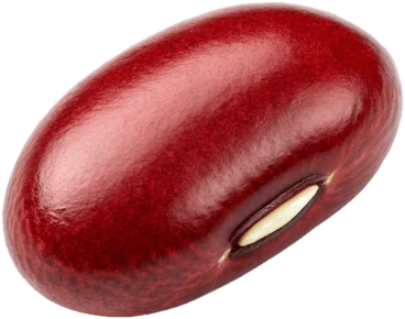Adzuki Bean