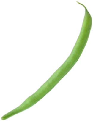 Green Bean